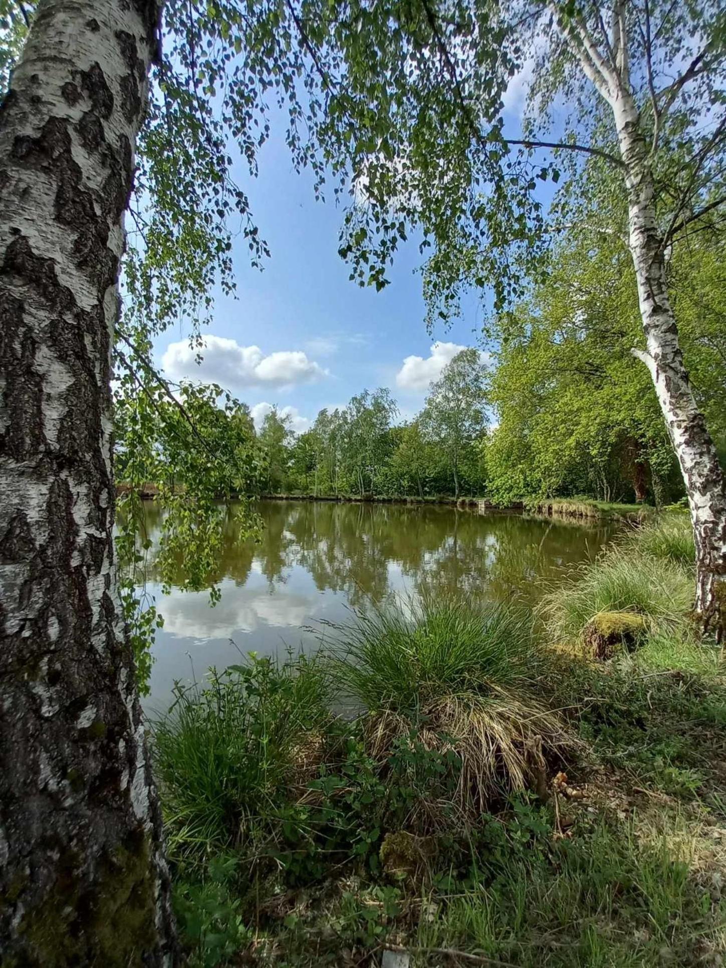 Le Chalet Limousin Folles Екстериор снимка